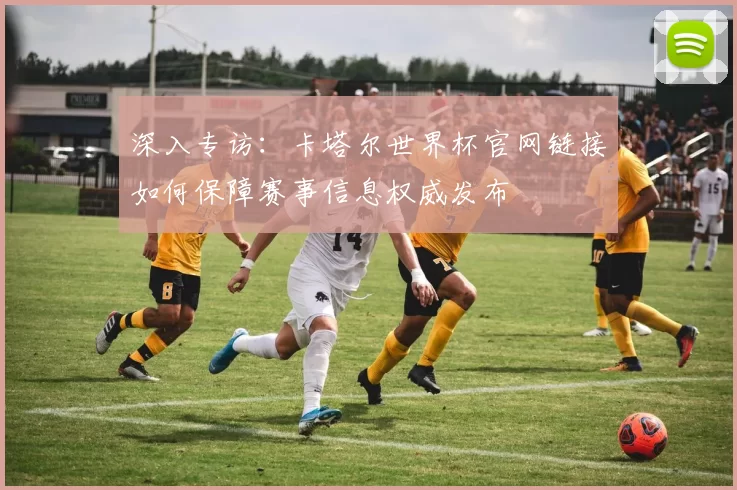 深入专访：卡塔尔世界杯官网链接如何保障赛事信息权威发布