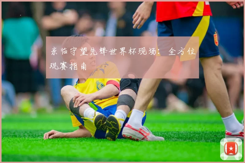 亲临守望先锋世界杯现场：全方位观赛指南