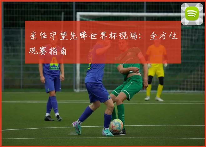 亲临守望先锋世界杯现场:全方位观赛指南