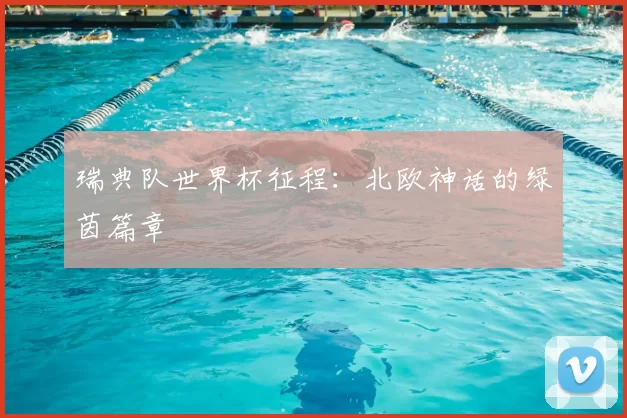 瑞典队世界杯征程：北欧神话的绿茵篇章