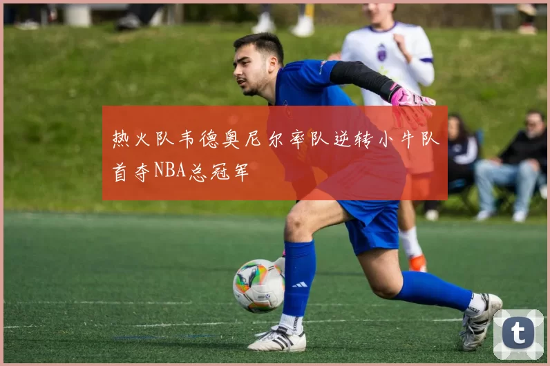 热火队韦德奥尼尔率队逆转小牛队首夺NBA总冠军
