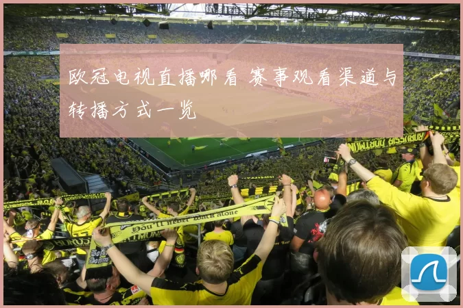 欧冠电视直播哪看 赛事观看渠道与转播方式一览