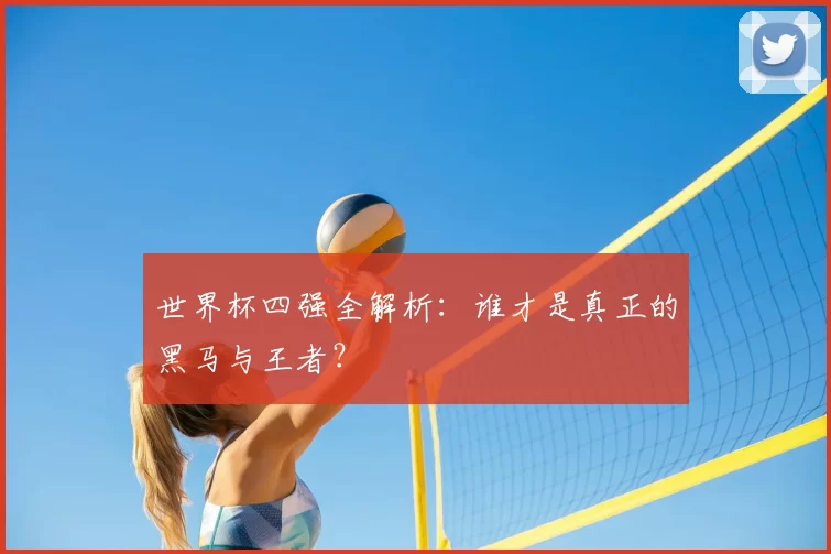 世界杯四强全解析：谁才是真正的黑马与王者？